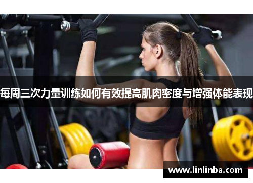 每周三次力量训练如何有效提高肌肉密度与增强体能表现
