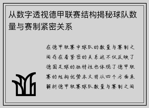 从数字透视德甲联赛结构揭秘球队数量与赛制紧密关系