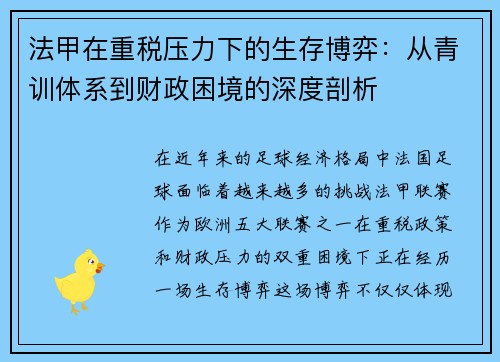 法甲在重税压力下的生存博弈：从青训体系到财政困境的深度剖析