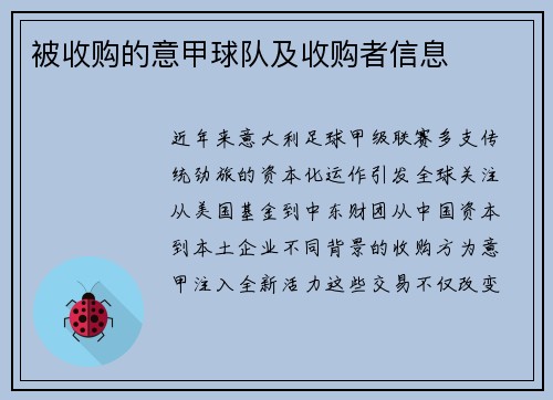 被收购的意甲球队及收购者信息